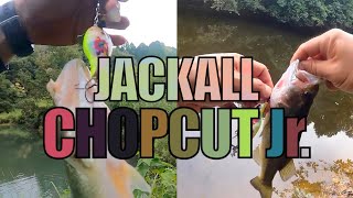 【CHOPCUT Jr.】It can use slow, fast n jerk...hung too 【Bass Fishing】【TOPWATER】