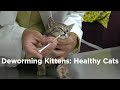 De-worming Kittens: Healthy Cats De-worming Kittens: Healthy Cats