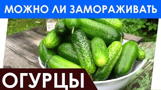 Можно ли замораживать огурцы на зиму в морозилке? Советы по заморозке