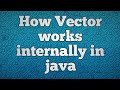 How Vector works internally in java | Internal working of Vector in java