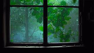 Monsoon Rain Balcony View Bali   Rainfall for Relaxing, Meditation, Insomnia, PTSD