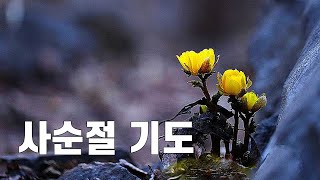 사순절의 기도 / 이해인 수녀(feat. 영화 \