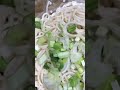 Veg Noodles | Neena’s Kitchen