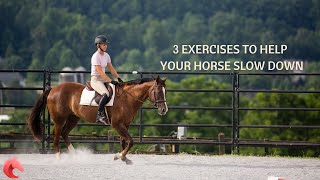 3 Exercises to Help Your Horse Slow Down