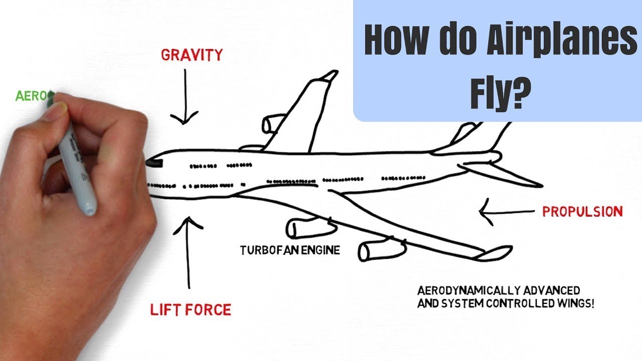 How Do Airplanes Fly? [The Aerodynamics Of An Airplane] - YouTube