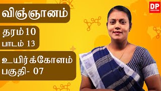 பாடம்  13  -  உயிர்க்கோளம் (பகுதி 07) | தரம் 10 தமிழில்