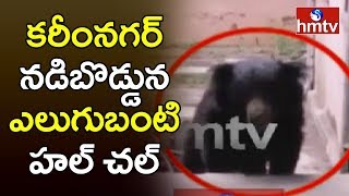 Bear Hulchul in Karimnagar | కరీంనగర్ నడిబొడ్డున ఎలుగుబంటి హల్ చల్ | hmtv