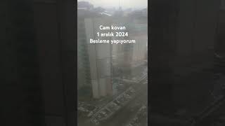 1aralık2024 cam kovan besleme