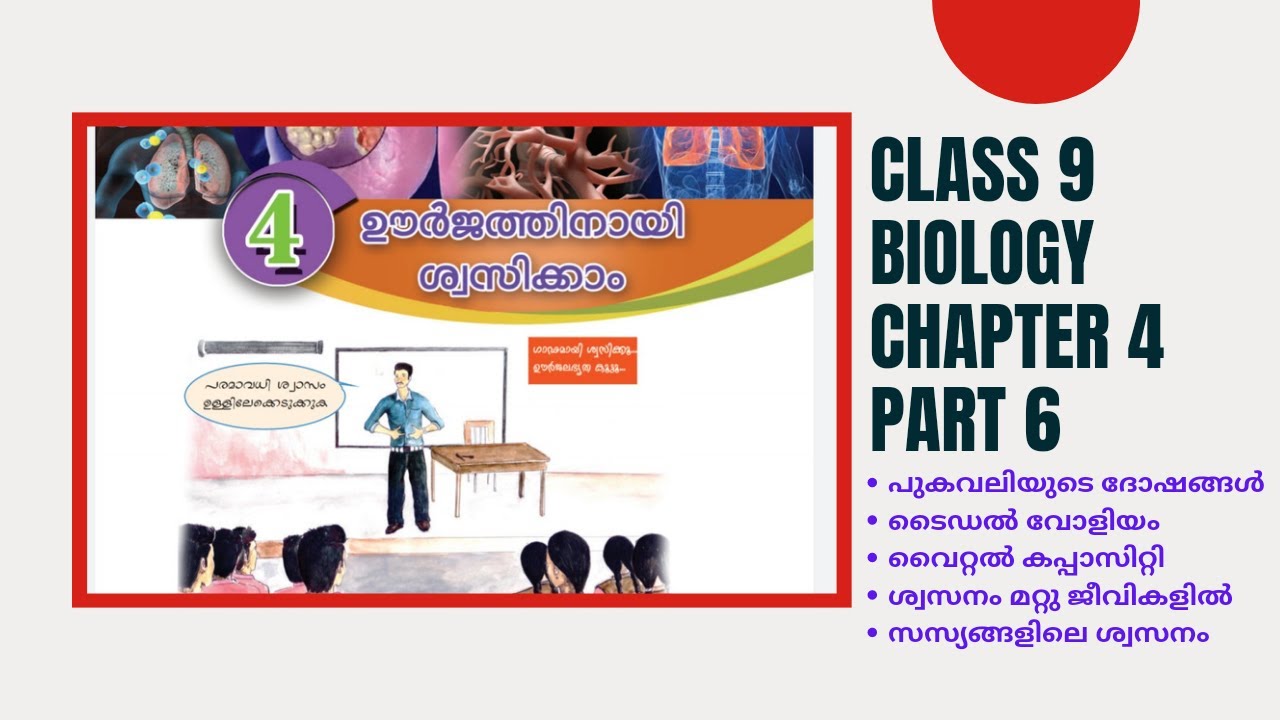 KERALA SYLLABUS |9TH STANDARD |BIOLOGY |CHAPTER 4 |ഊർജ്ജത്തിനായി ...