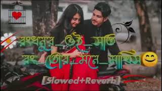 Rongdhonur Oi Shat Rong Tor Mone Rakhis  Pagla Imran  Slowed+Reverb  Lofi Remix 23