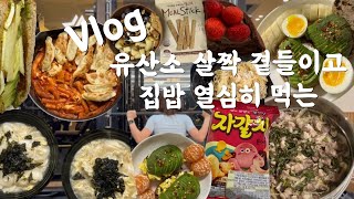 vlog │ 집밥으로 가득한 일주일 │ 아보카도 토스트에 빠지다 │ 쌀국수 큐브 추천