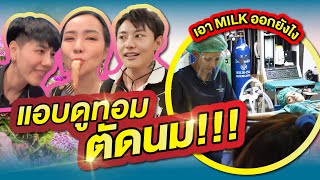 Vlog หลอกทอมเป็นแฟน เพื่อแอบดูตอนตัด MILK !!!!