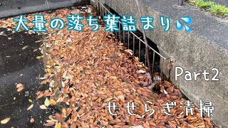 【スッキリ】大量の落ち葉で詰まった排水口💦せせらぎ清掃Part2 詰まり除去 排水口清掃 落ち葉取り