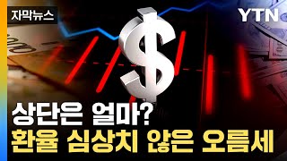 [자막뉴스] 예상과는 다른 美 금리 움직임...환율 오름세 어디까지 / YTN