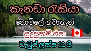 කැනඩා රැකියා. නොමිලේ නවාතැන්. කාන්තා/ පිරිමි. සුදුසුකම් එපා plumber foreign jobs jn Canada