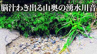 The sound of natural jewel-like spring water gushing deep in the mountains