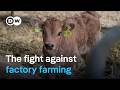 Butchers fighting cheap meat | DW Documentary