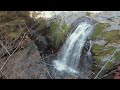 晩秋のみたらい渓谷遊歩道Ⅱ【osmo pocket】mitarai valley in late autumn Ⅱ