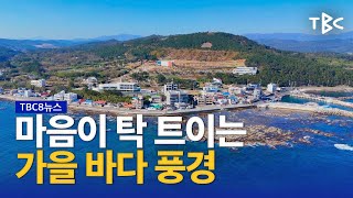 포항 사방기념공원 231116 ㅣ TBC영상뉴스