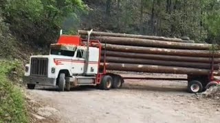 Los mejores conductores de camiones troceros del mundo