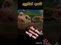 අපි හරිම හරිම මෝඩයි 😁😁 හ්ම් හ්ම් trending viralvideo status funny