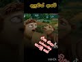 අපි හරිම හරිම මෝඩයි 😁😁 හ්ම් හ්ම් trending viralvideo status funny