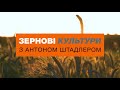 Особливості застосування регуляторів росту на зернових культурах