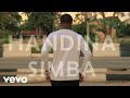 Rynnx - Handina simba (Official Visualiser)