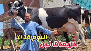 #اوكازيون-السلالات اللي بتنافس الهولشتاين في انتاجيه الحليب شوف بنفسك من مزرعه ابو يوسف