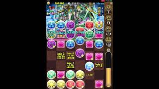 パズドラ ウィンターspタイムアタック5 究極義勇xブレイズ