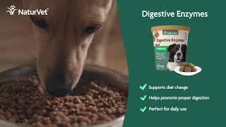 NaturVet Digestive Aids for Dogs