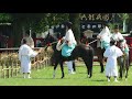 賀茂競馬足汰式 葵祭 賀茂祭 上賀茂神社 賀茂別雷神社 japan kyoto 日本『京都府』のイベント・祭事・神事・法要・芸能・文化・歴史no.028