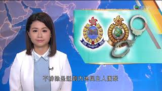 TVB午間新聞 - 警方與海關打擊海上走私 檢獲逾3千萬元貨物及12隻狗-香港新聞-20200823-TVB News