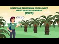 Indonesian Sustainable Palm Oil (ISPO) untuk Pekebun