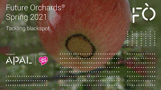 APAL Spring Future Orchards® webinar: Tackling Blackspot