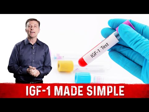 Understanding IGF-1 (Insulin-Like Growth Factor) in Simple Terms Understanding IGF-1 (Insulin-Like Growth Factor) in Simple Terms
