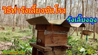 วิธีทำรังชันโรง(รังอุง)​