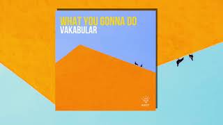 Vakabular - What You Gonna Do (Original Mix)