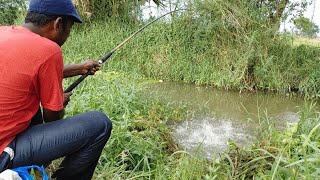 Fish Hunting 🎣🦈Awesome Fish Hunting Cat Fish Catching Mancing fishing Baam fishing Village FISHING