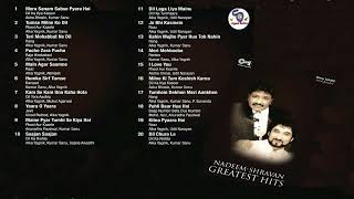 Nadeen Shravan Greatest Hits !! Kumar Sanu, Alka Yagnik,Asha Bhosle,Udit Narayan, Md. Aziz !! 90,s