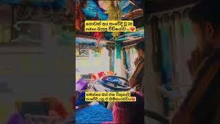 අනේ දෙයියනේ🥺❤️ #viralvideo #popular #new #automobile #srilanka#busfan#buslover #dhamrejini#hirustar