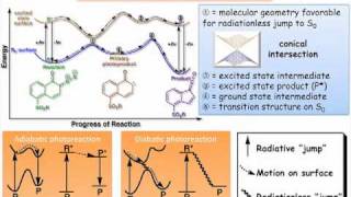 Photochemical Reaction Pathways