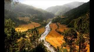 Stunning Terraced Rice Fields in China 2024