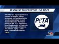 PETA responds to report of live tiger attending LSU vs. Alabama game this weekend