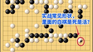 围棋野狐中段示范对局（337）：这里的白棋是死还是活呢？