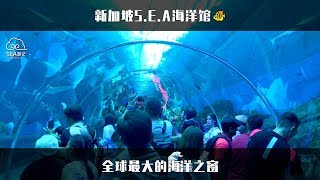 新加坡S.E.A海洋馆，全球最大的海洋之窗