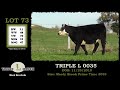 lot 73 triple l 0035