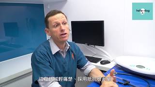 無可避免的關節炎？Arthritis in Pets