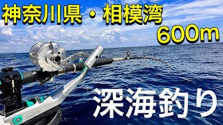 入り組んだ海底地形を有する相模湾の深海600メートルを釣りで釣査！急峻なポイントに仕掛けを流す！