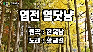 [Cover]  황금길 - 엽전 열닷냥 (원곡 /한복남) 영상가사